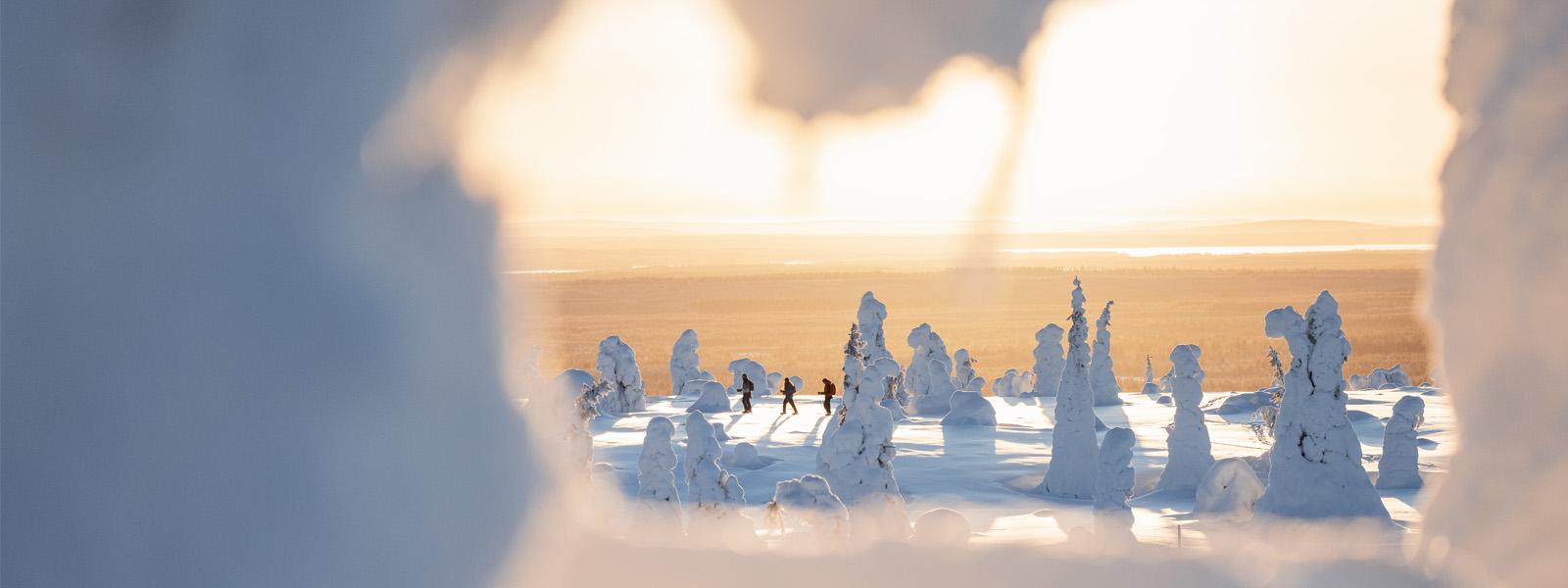 Three people dressed in winter gear walk across a snow-covered field. There are trees scattered throughout the area, covered in snow as well. Behind them, the sun sets creating a bright, yellow sky scene.