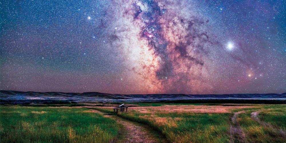 Starry night sky over a serene landscape with a wooden pathway cutting through the grass.