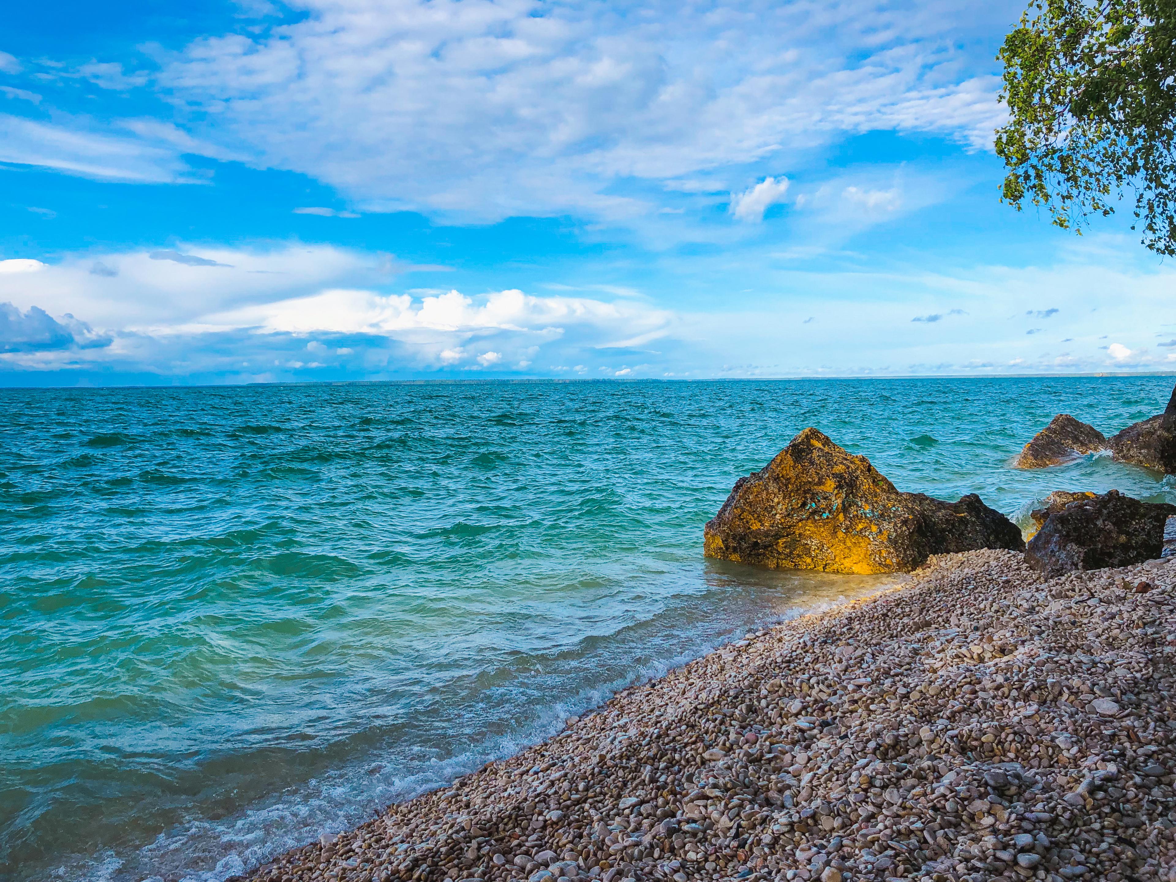 A grey, rocky shore with clear, blue water washing up on it. The sky above is bright blue with minimal clouds, and off to the right side are larger rocks and the branches of a tree with green leaves.