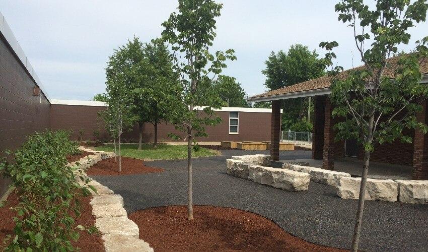 Newly landscaped pathway with young trees and mulch, flanked by large rocks and buildings.