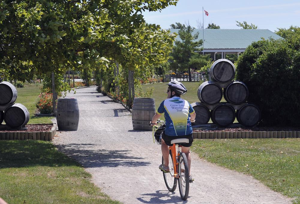 A man wearing a helmet and a blue cycling jersey rides an orange bike down a paved path through a park. The environment around him includes many trees and bright green grass.
